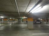 LED Orange for Hybrids.jpg
